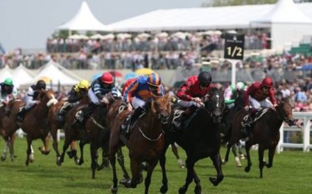 Морин тойруулгатай болсноор Монголд анх удаа хэрээр морин спортыг үзэгч, сонирхогчдын хүрээг нэмэгдүүлнэ