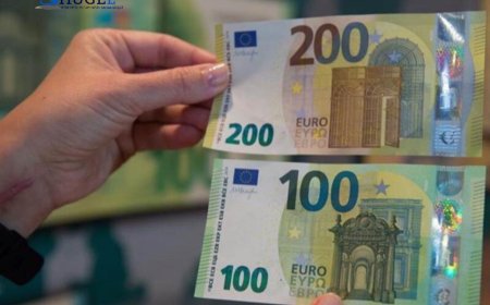 Гадаадын иргэн хуурамч евро солиулж, Монголчуудыг залилсан байж болзошгүй байна