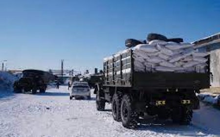 ОХУ-аас 733 тонн тэжээлийн улаанбуудай иржээ. Өвөрхангай, Архангай, Булган, Өмнөговь аймаг татан авчээ