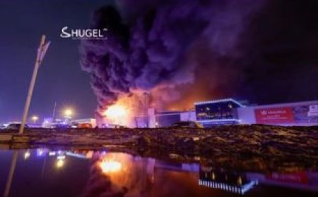 Зэвсэгт халдлагын улмаас амь үрэгдэгсдийн тоо 62-д хүрсэн талаар мэдээлэв