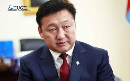 Д.Тогтохсүрэн: Энэ удаагийн сонгуульд МАН дангаараа оролцох шийдвэрийг гаргалаа