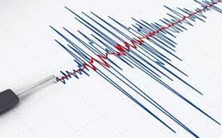 Баянхонгор аймгийн Жинст сумаас баруун зүгт 65 км-т 4.6 магнитудын хүчтэй газар хөдлөлт боллоо