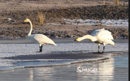 Улаанбаатарт 18 хэм дулаан