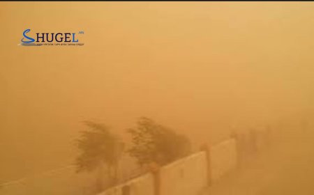 Сураггүй алга болсон 82 настай эмэгтэй эсэн мэнд өөрөө гэртээ иржээ