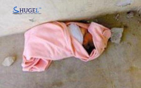 11 сартай хүүхдээ “хаясан“ гэх хэрэгт яллах дүгнэлт үйлдэж, шүүхэд шилжүүллээ