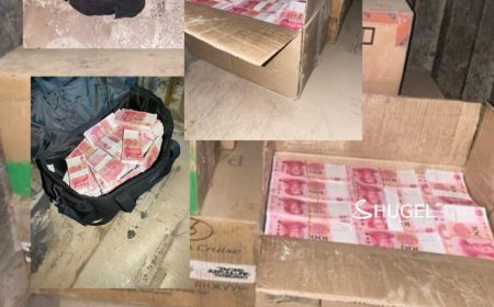 Хилээр орж ирсэн их хэмжээний валютын эх үүсвэрийг тогтоохоор ажиллаж байна