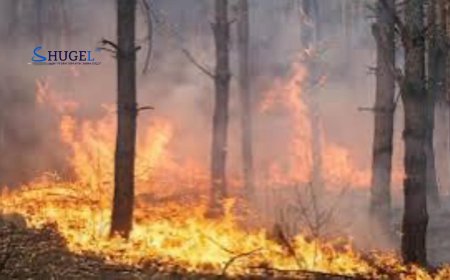 Мэнэнгийн талд гарсан  түймэрийг унтрааж чадаагүй байна