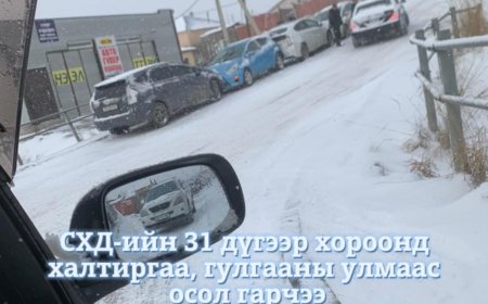 ГССҮТ: Ослын улмаас 14 хүн хүргэгджээ