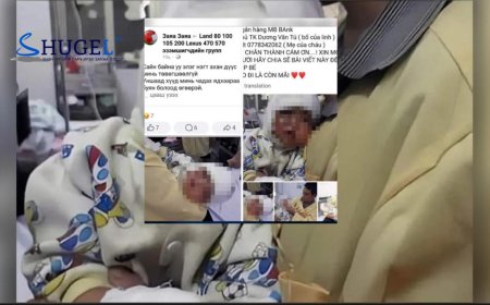 Гадаад улсын иргэн, хүүхдийн зураг мэдээллийг ашиглан бусдаас хандив авч залилан хийжээ