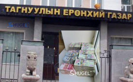 ТЕГ: Их хэмжээний мөнгө нуусан гэмт бүлэглэлийг илрүүллээ