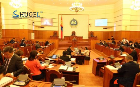 Импортын гурил, малын тэжээлийг татвараас чөлөөлөхийг дэмжив