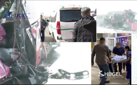 ГССҮТ: Манай эмнэлэгт 39 хүн хүргэгдэн ирсний нэг нь хүүхэд байна