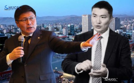 Н.Мандуул хотын даргад зөвлөнө