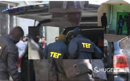 Тагнуулаас баривчилсан 4 хүн төрийн нууцад хамаарах мэдээ, баримтыг хулгайлах гэж оролджээ