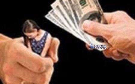 Монголын дөрвөн иргэнийг Тайланд руу худалдсан этгээдүүд тэдэнд онгоцны билет авч өгч явуулжээ