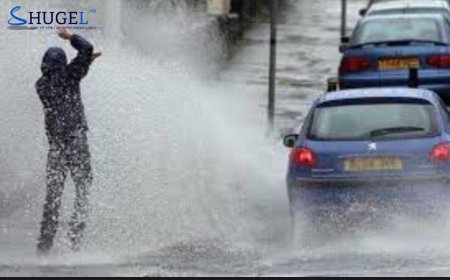 Явган зорчигч руу шавхай цацсан жолоочийг 100,000 төгрөгөөр торгодог