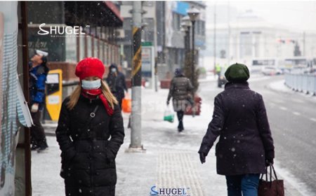 Улаанбаатарт өдөртөө 7 хэм дулаан