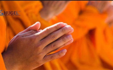 Өдрийн сайн цаг нь хулгана, бар, туулай, морь, хонь, тахиа болой