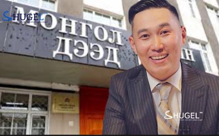 Дээд шүүх: “Либертари” намын 801 гишүүний бүртгэлд Д.Амартүвшингийн өөрийнх нь нэр байгаагүй