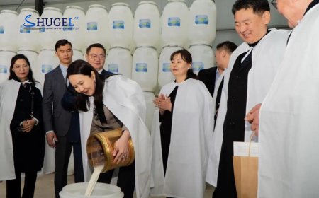 Монголчууд ус, сүүг урвалд оруулахгүй, хүнс муутгахгүй эко сав үйлдвэрлэж эхэллээ
