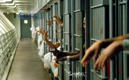 Хорих ял эдлээд суллагдсан хүмүүсийн 40 орчим хувь нь хоёр жилийн дотор дахин гэмт хэрэг үйлдэж байна