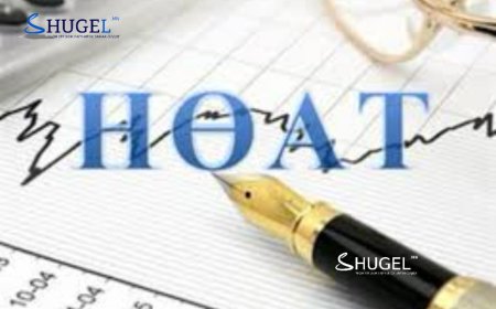 Энэ сарын 8-ны дотор бүртгүүлж, НӨАТ-ын буцаан олголтоо авахыг санууллаа