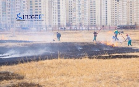 Үндэсний цэцэрлэгт хүрээлэнд шашны зан үйл үйлдсэний улмаас гал алджээ