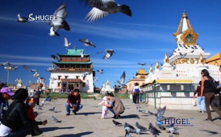 ХАВРЫН АДАГ ШАР ЛУУ САРЫН ДОЛООН УЛААН ХӨХ ХУЛГАНА ӨДӨР