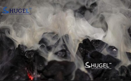 15 иргэн угаартаж, хоёр нь амиа алдсан харуусалтай хэрэг гарчээ