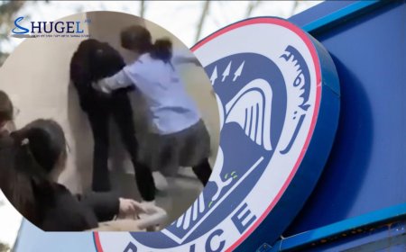 Өсвөр насны охид нэгийгээ  нийлж зодсон хэрэг гарчээ