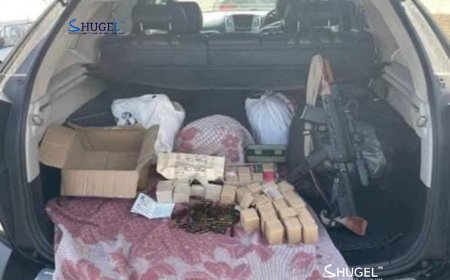 Их хэмжээний сум, галт зэвсгийг хууль бусаар тээвэрлэж явжээ