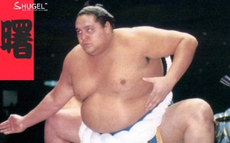 Хавайн сүмоч Акэбоно 54 насандаа таалал төгсжээ