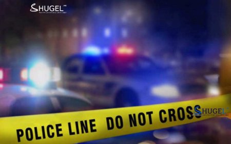 ТОЗ-8 маркийн гар буугаар бусдыг айлган сүрдүүлжээ