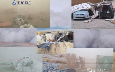 Eсөн иргэн төөрч, 19 байшингийн дээвэр, долоон гэр нуржээ