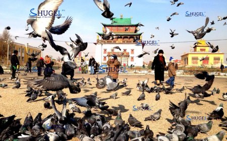 Аргын тооллын 4 сарын 16, Ангараг гараг. Билгийн тооллын 8