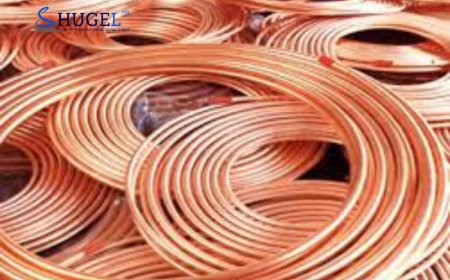 Зэсийн үнийн өсөлт дээд түвшинд хүрлээ