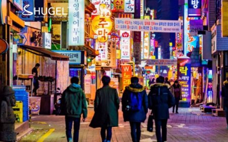 БНСУ-д хууль бусаар оршин суугаа гадаад иргэдийг буцаах, дахин нэвтрүүлэхгүй байх арга хэмжээг авч эхэлжээ