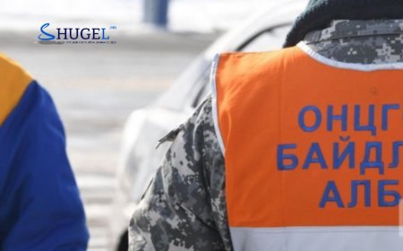 Ууланд аялж явсан 56 настай эмэгтэй нас баржээ