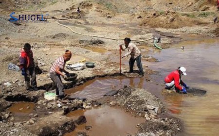 Хууль бусаар ашигт малтмал олборлож байсан 85 этгээдийг илрүүлж, 12 кг алт, 120 тонн жоншийг хураажээ