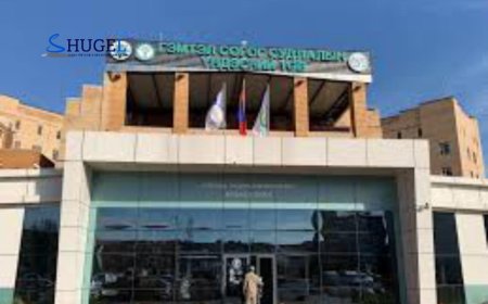 Автын осолд орсон хүүхдүүд яаралтай хагалгаанд оржээ