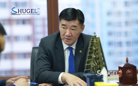 С.Бямбацогт:  Би Их хурлын индэр дээрээс шүгэл үлээж байна.  С зөвшөөрлийн авлигал 20-30 сая болсон