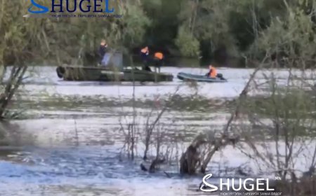 Монгол залуу БНСУ-ын  далайд живж, нас баржээ