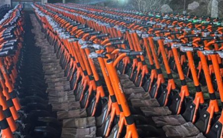 ₮150 үнэтэй дугуй, скүүд өнөөдрөөс үйлчилгээнд гарна