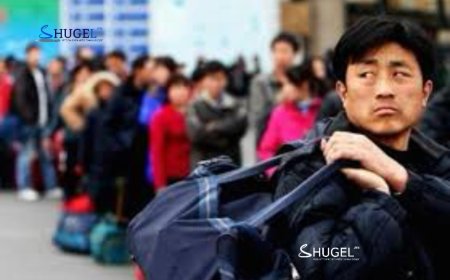 Гадаадын 56 иргэнийг албадан гаргалаа