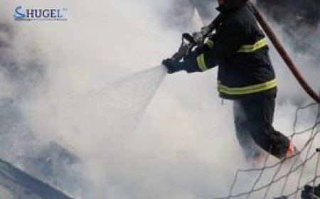 Утаажилтын бүсээс 39 иргэнийг гаргажээ