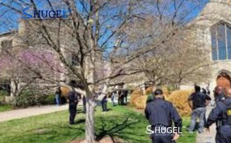 АНУ-ын Теннесси мужид багш нар сургуульд буу авч явахыг зөвшөөрлөө