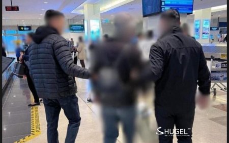 “Хөх булант”-аар  эрэн сурвалжлагдаж байсан Монгол Улсын иргэн “Н”-г  Турк Улсаас албадан авчирчээ