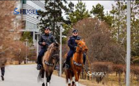 Морьт эргүүл нийгмийн амгалан тайван байдлыг хангаж ажиллана