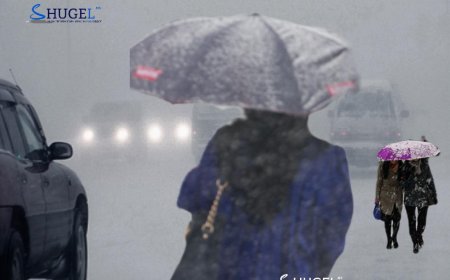 Бороо, нойтон цас орж, цасан шуурга шуурна