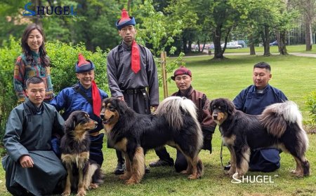 Монгол банхарууд ДАШТ-д түрүүлжээ
